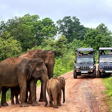 Jungle Lodge Udawalawe Ngoại thất bức ảnh
